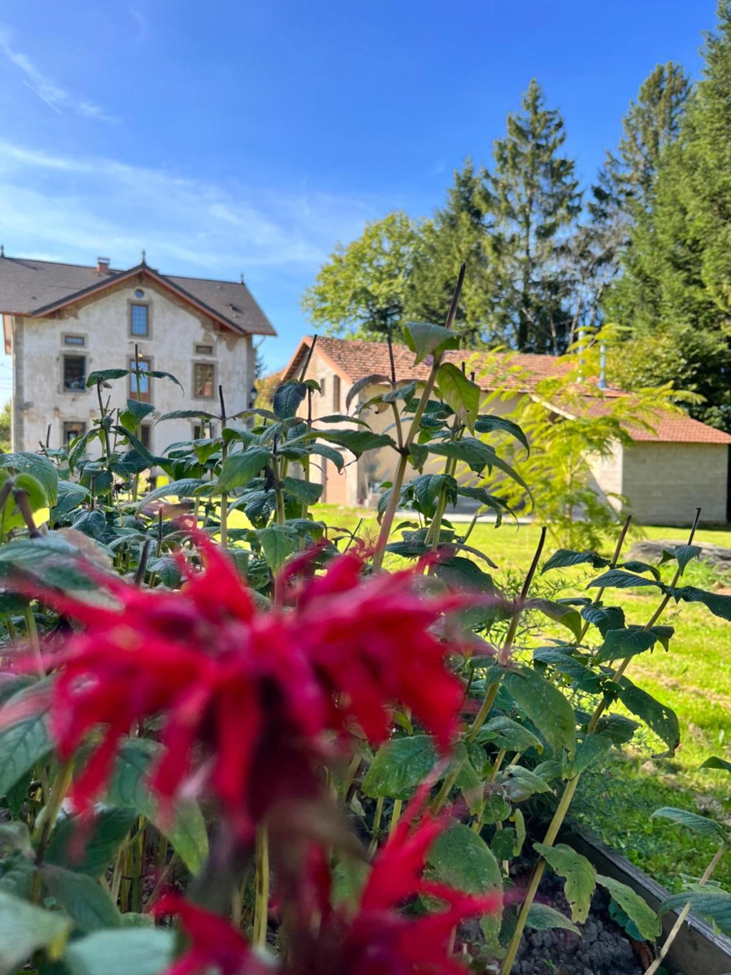 Chambre D'Hote Cosy Domaine Du Bagnerot La Chapelle-aux-Bois Bagian luar foto
